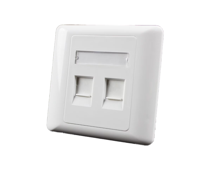 Face Plate Dual Port