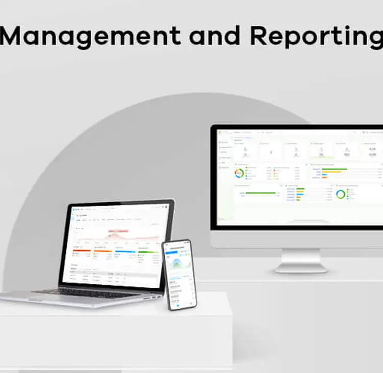 Management and Reporting